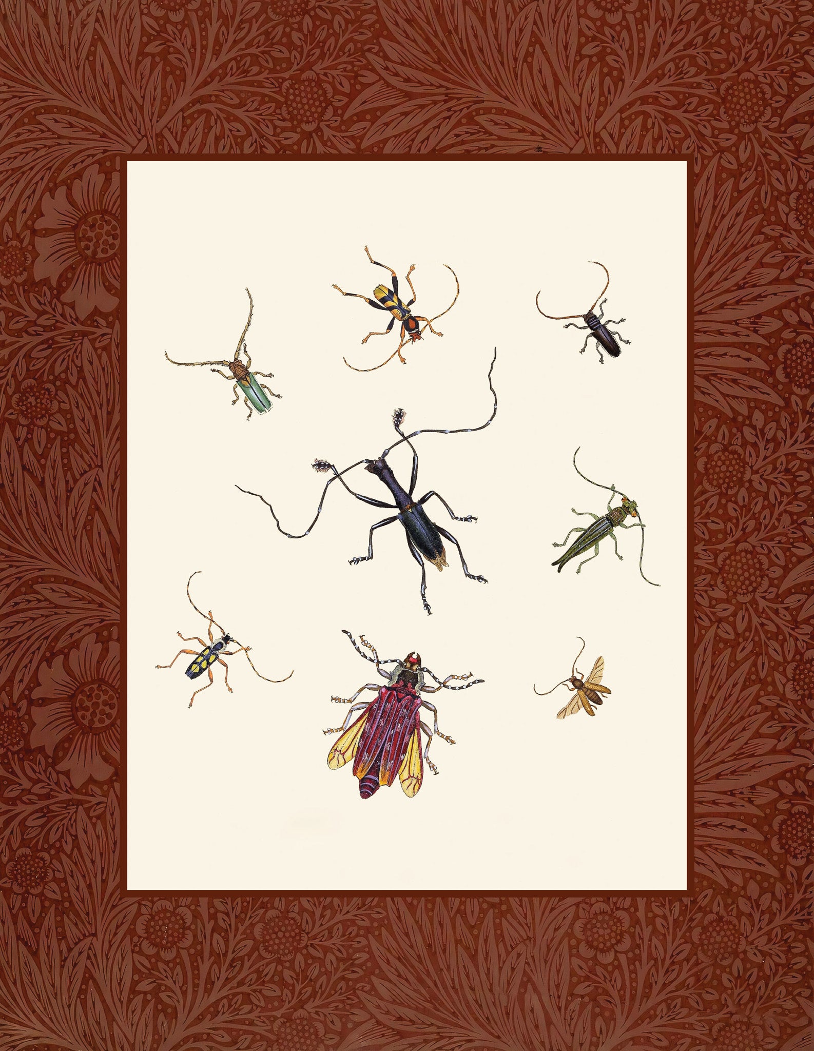 Insects 1
