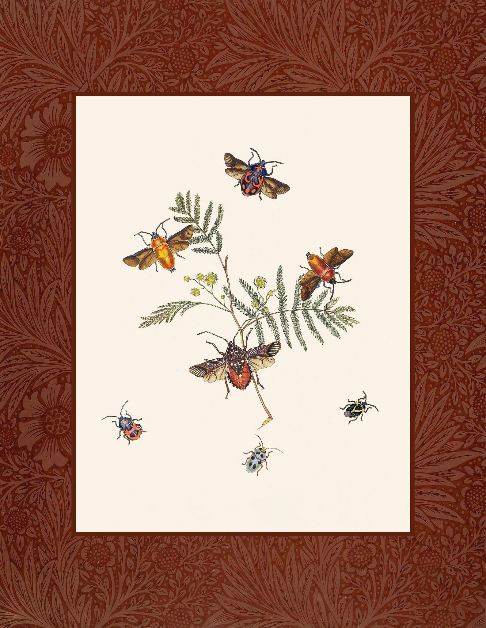 Insects 2
