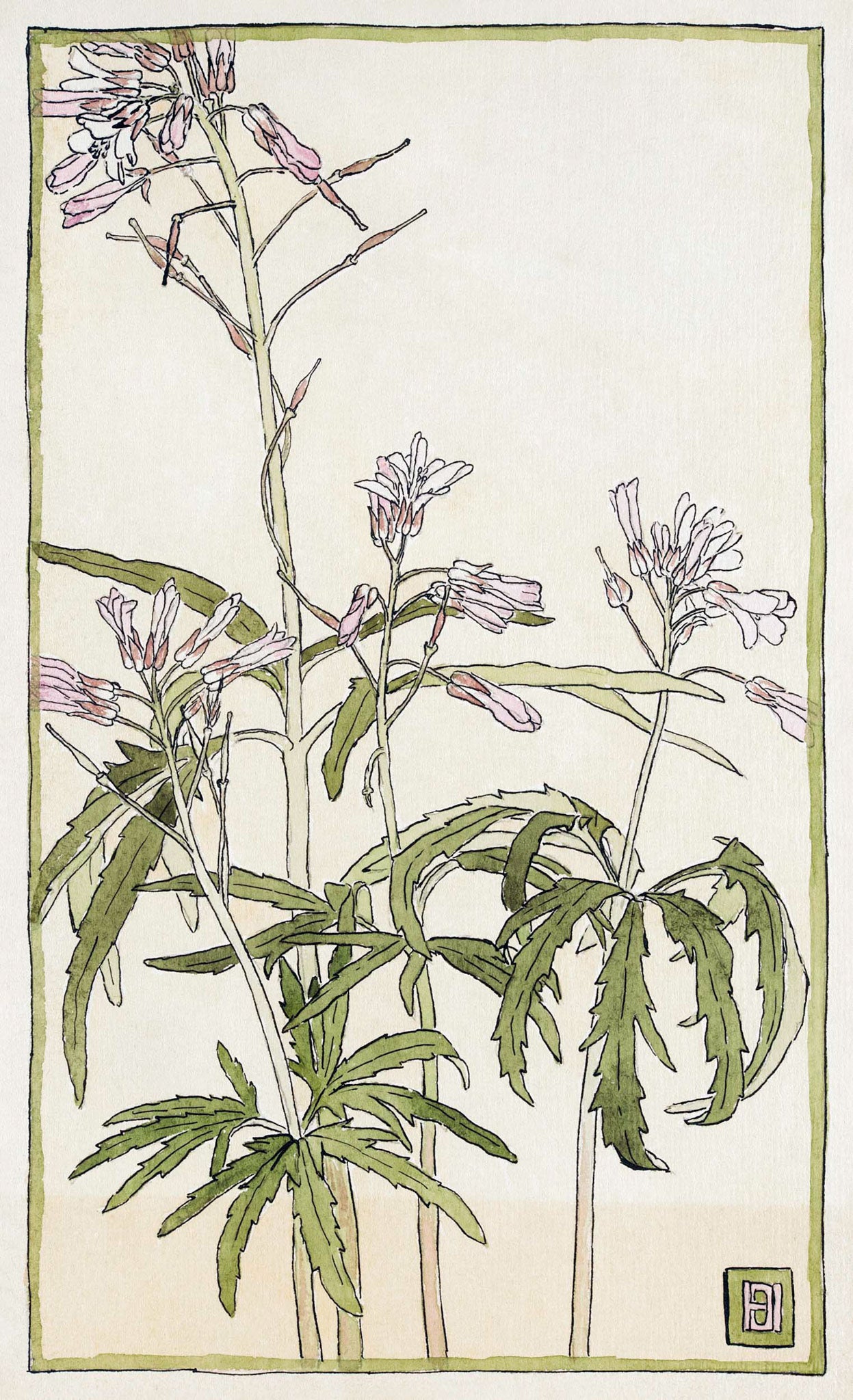 Pink Flowers with Spiky Green Leaves