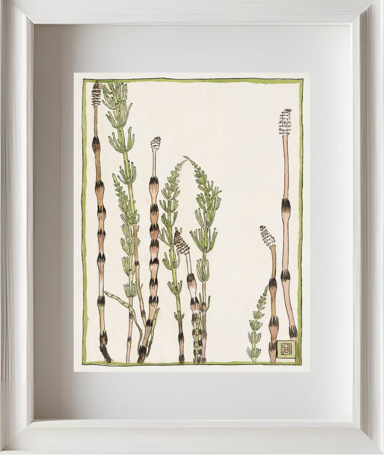 Horsetail