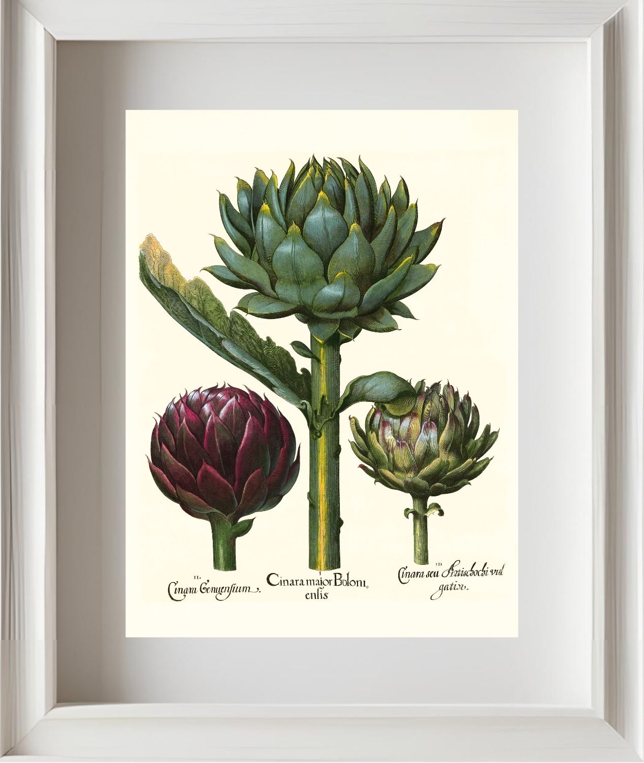 Artichoke heads