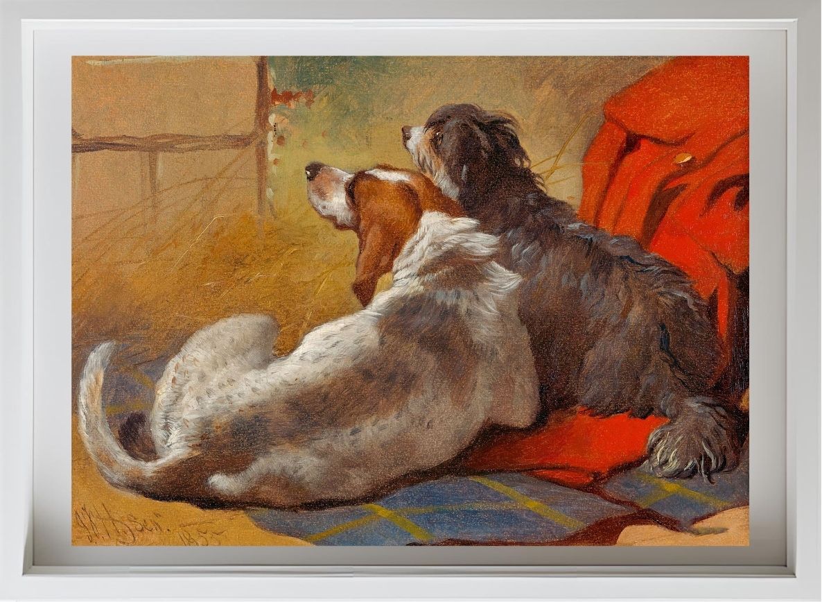 A Hound and a Bearded Collie seated on a Hunting Coat