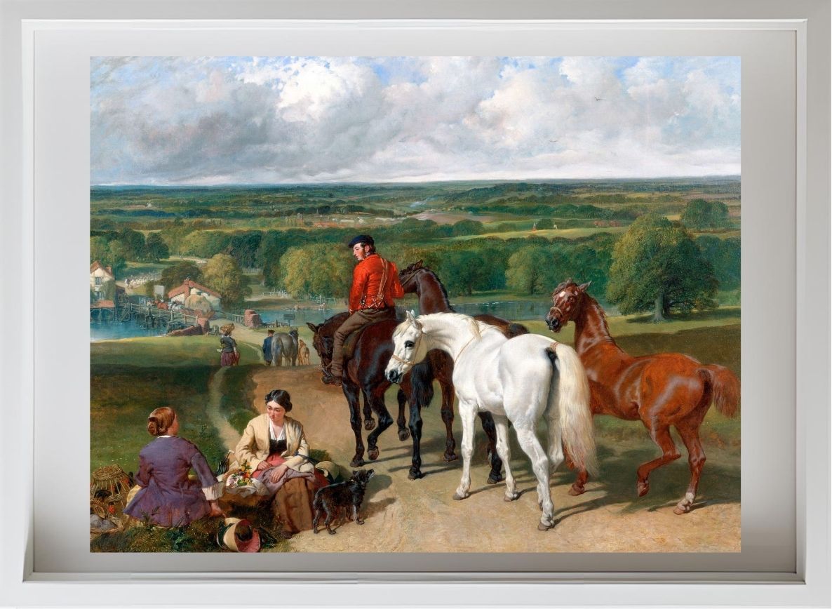 Exercising the Royal Horses