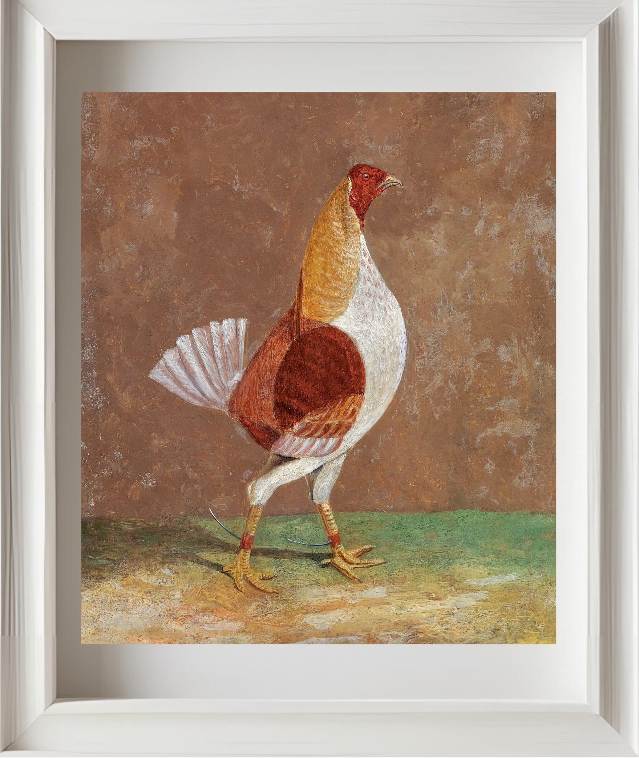 Fighting Cock (1)