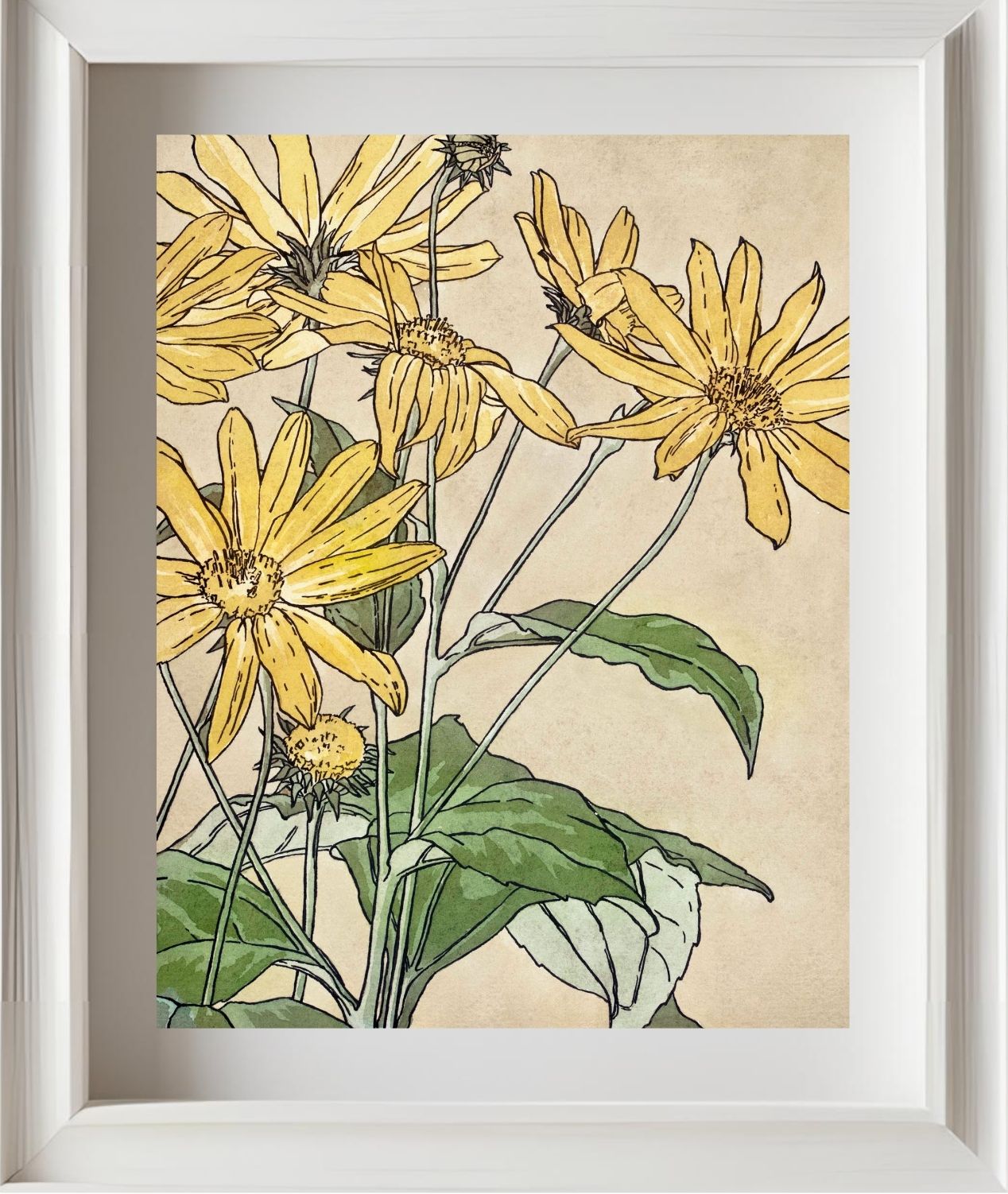 Sunflowers