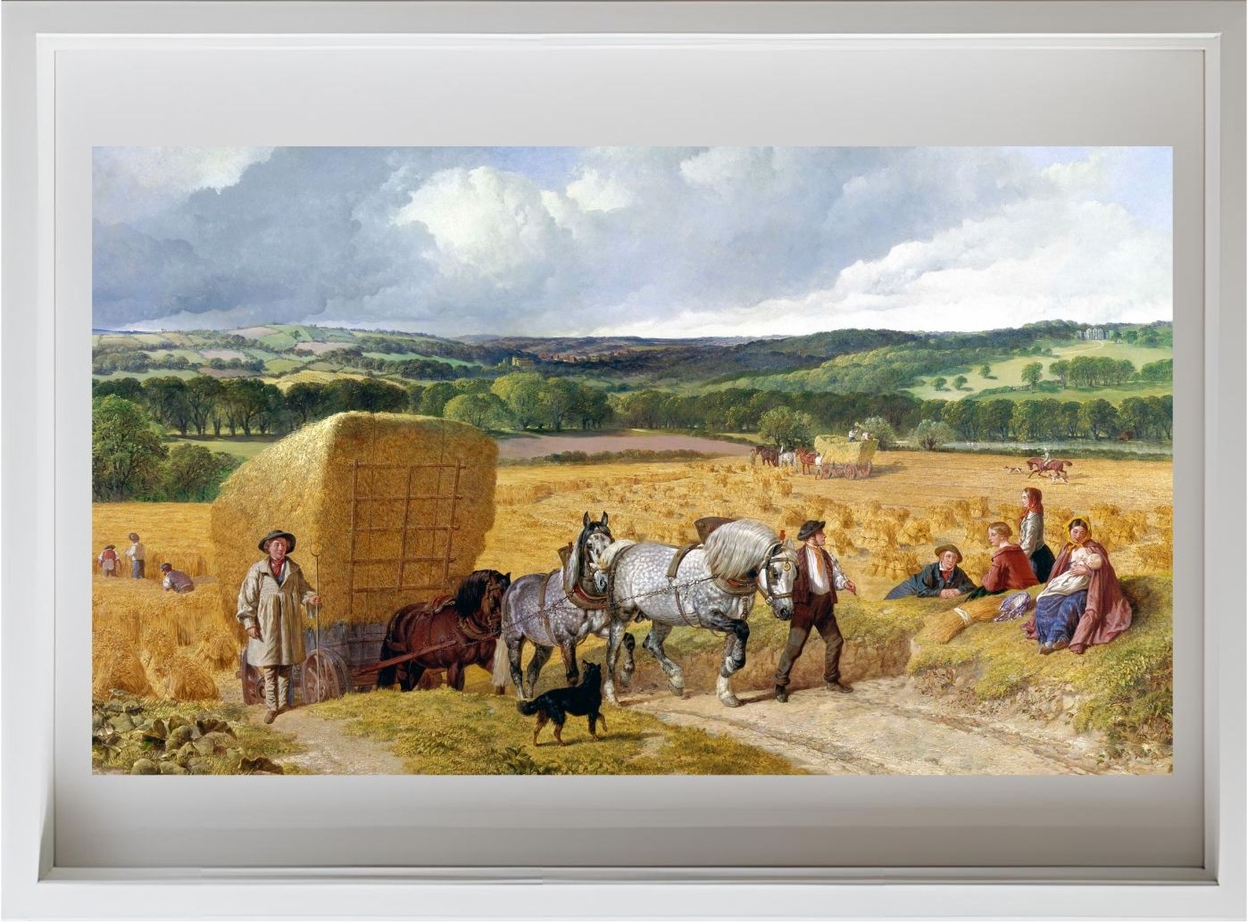 The Harvest