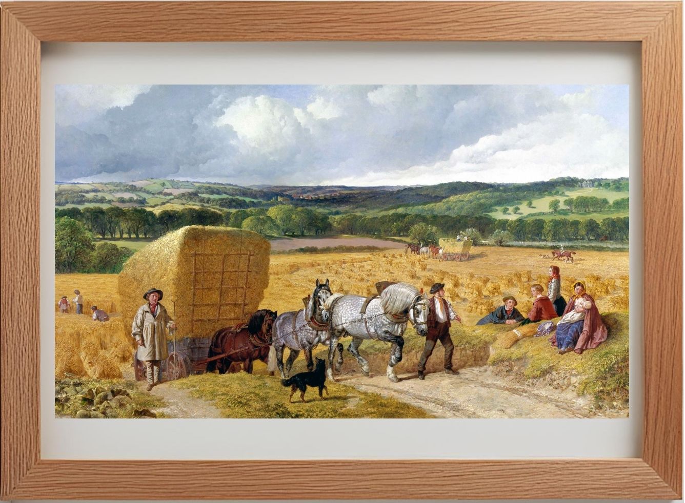 The Harvest