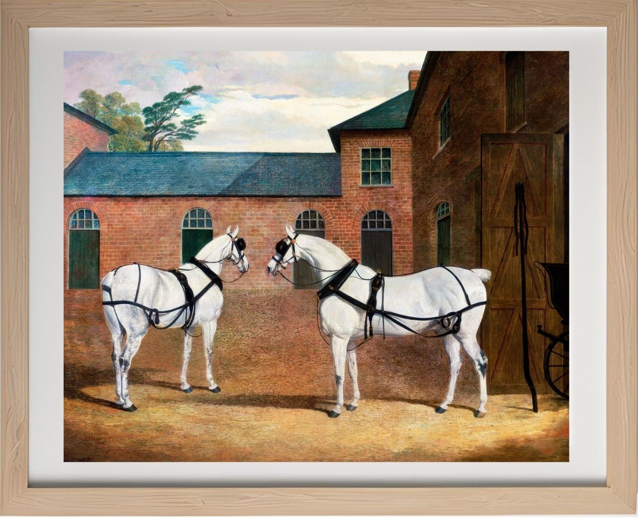 Grey Carriage Horses in the Coachyard at Putteridge Bury