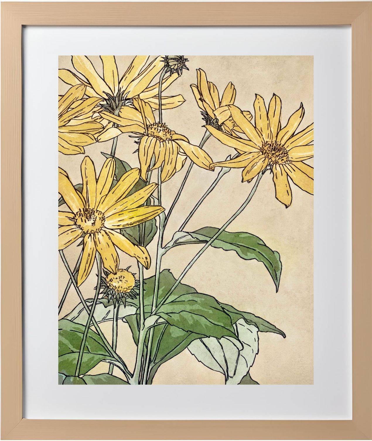 Sunflowers