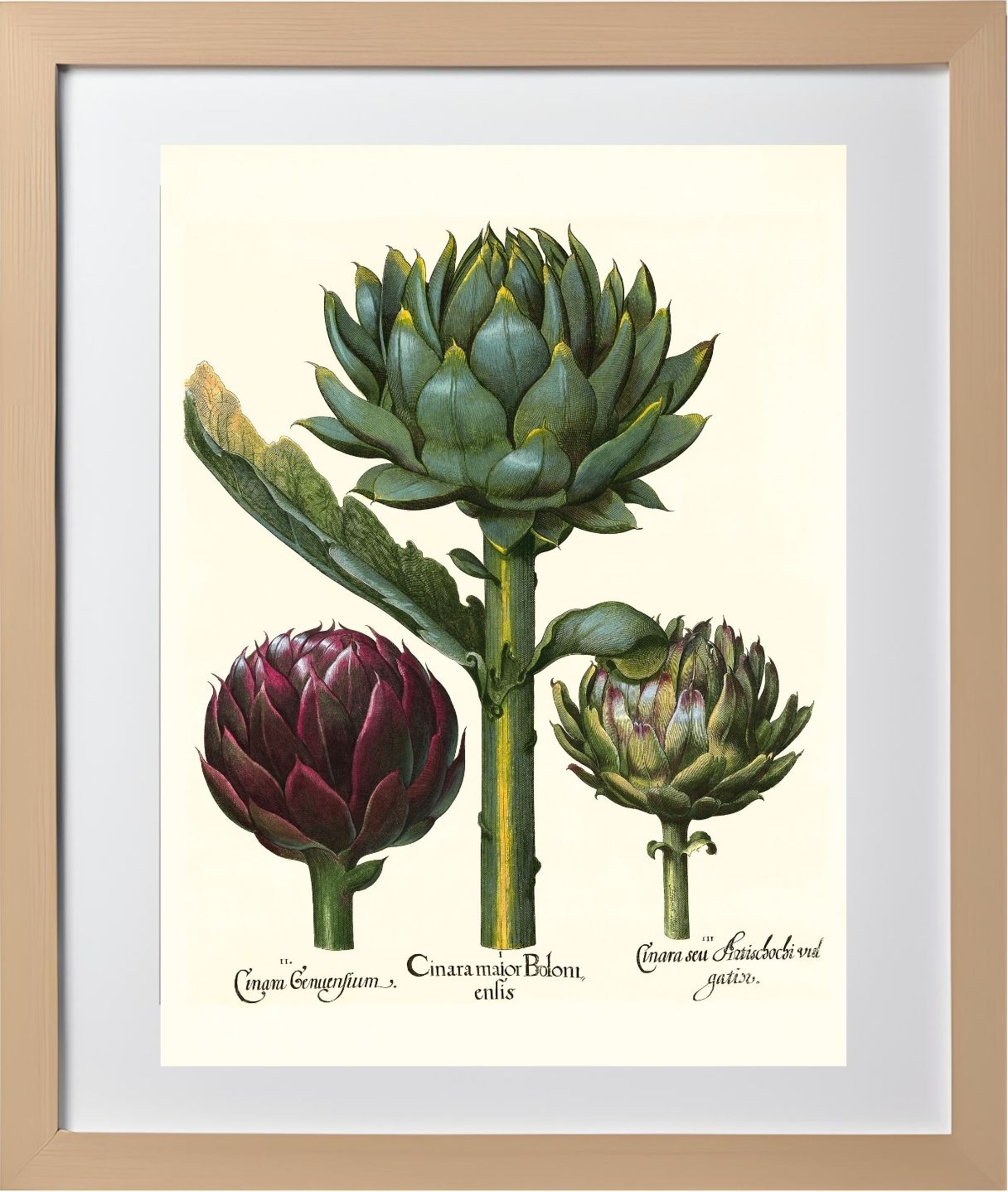 Artichoke heads