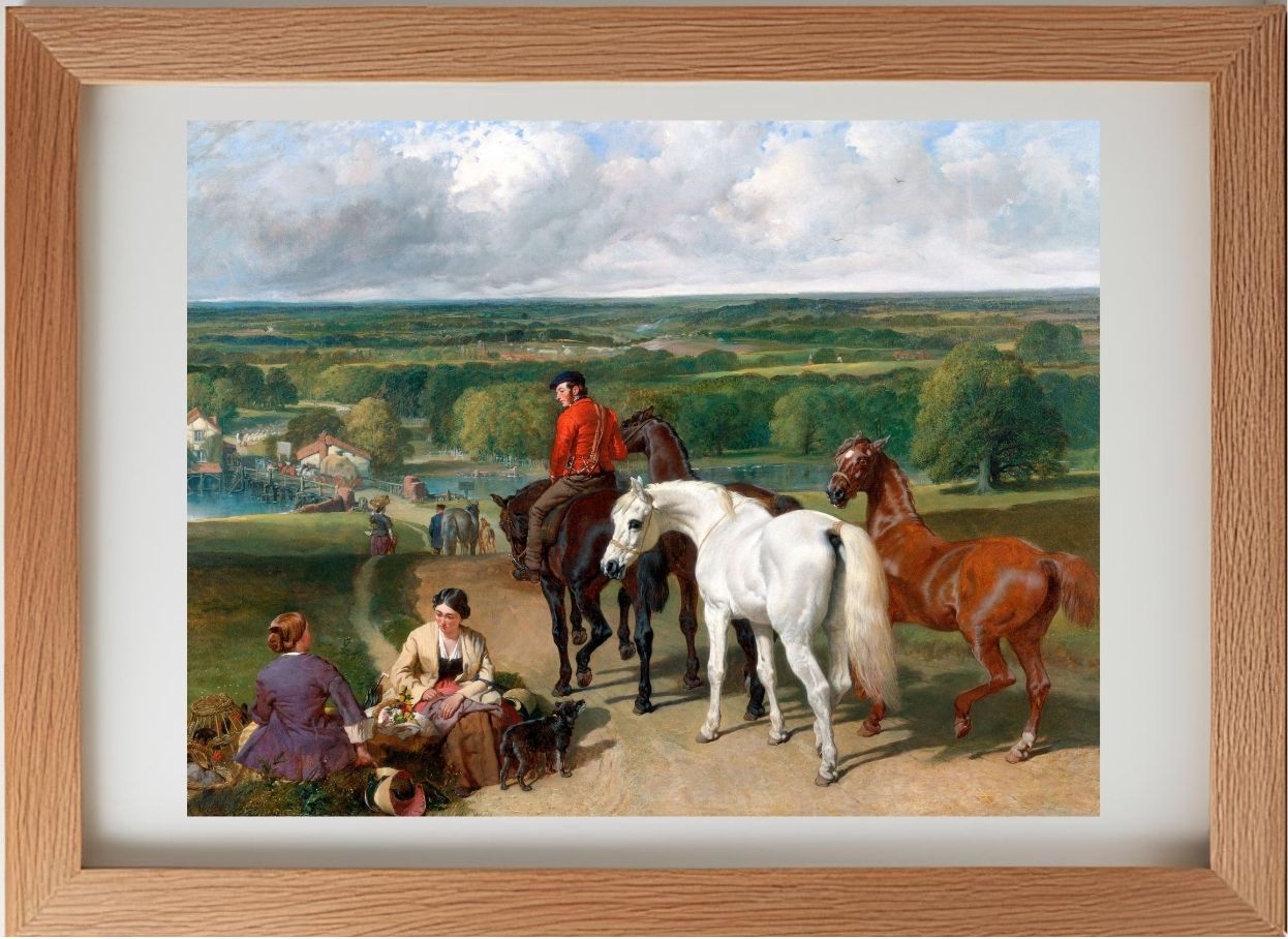 Exercising the Royal Horses