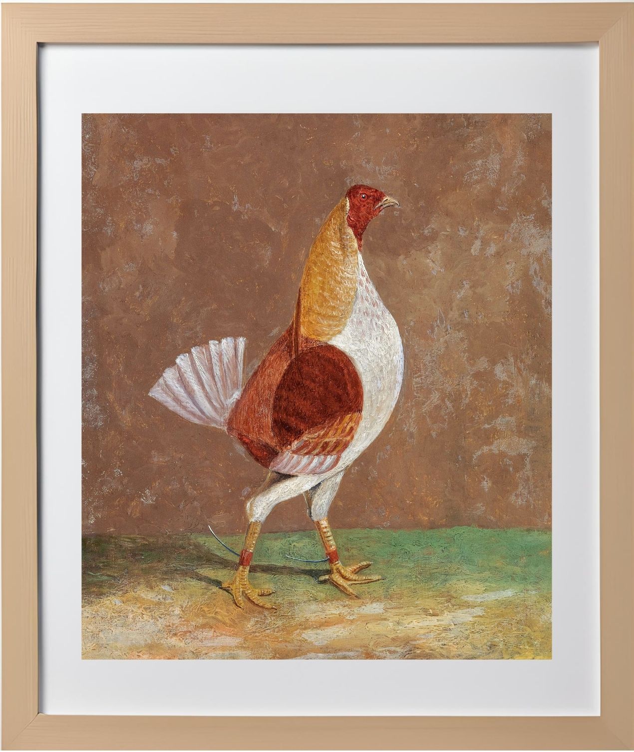 Fighting Cock (1)