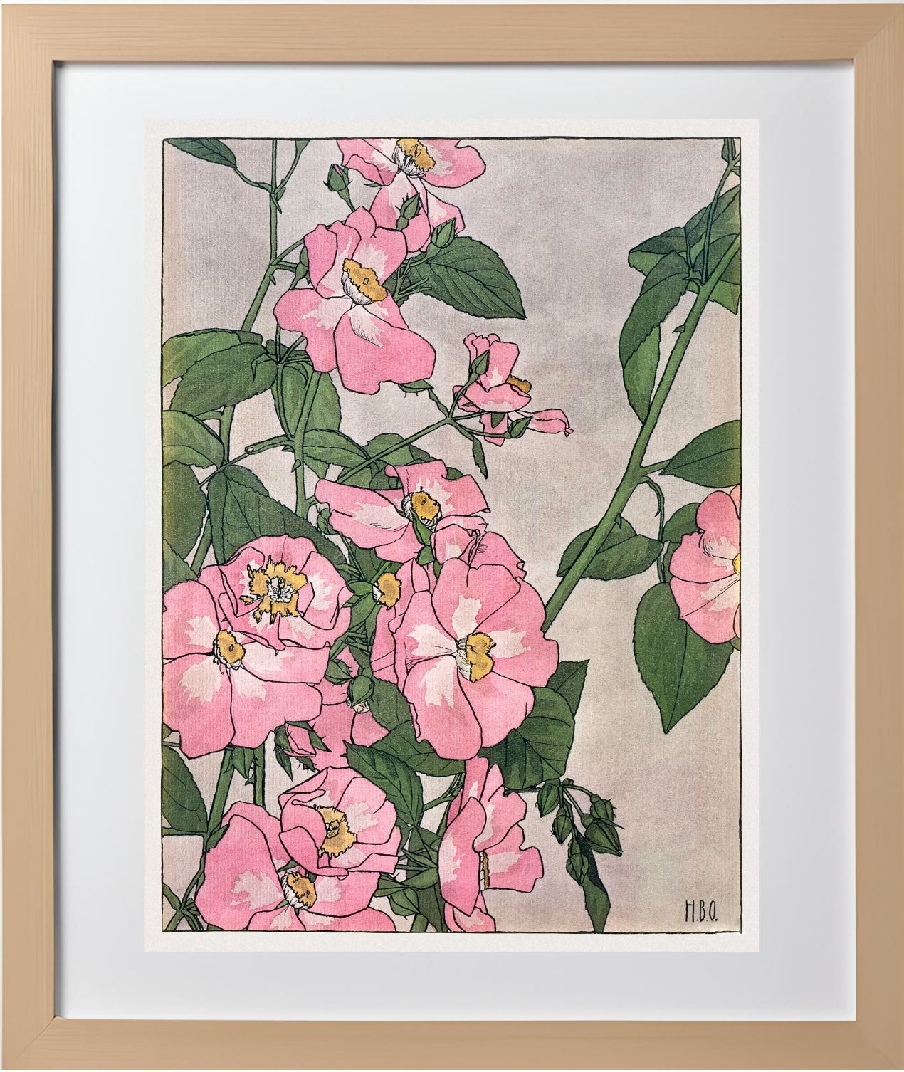 Prairie Rose