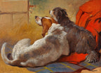 A Hound and a Bearded Collie seated on a Hunting Coat