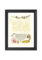Hyssop, Insect, and Cuckoo Flower