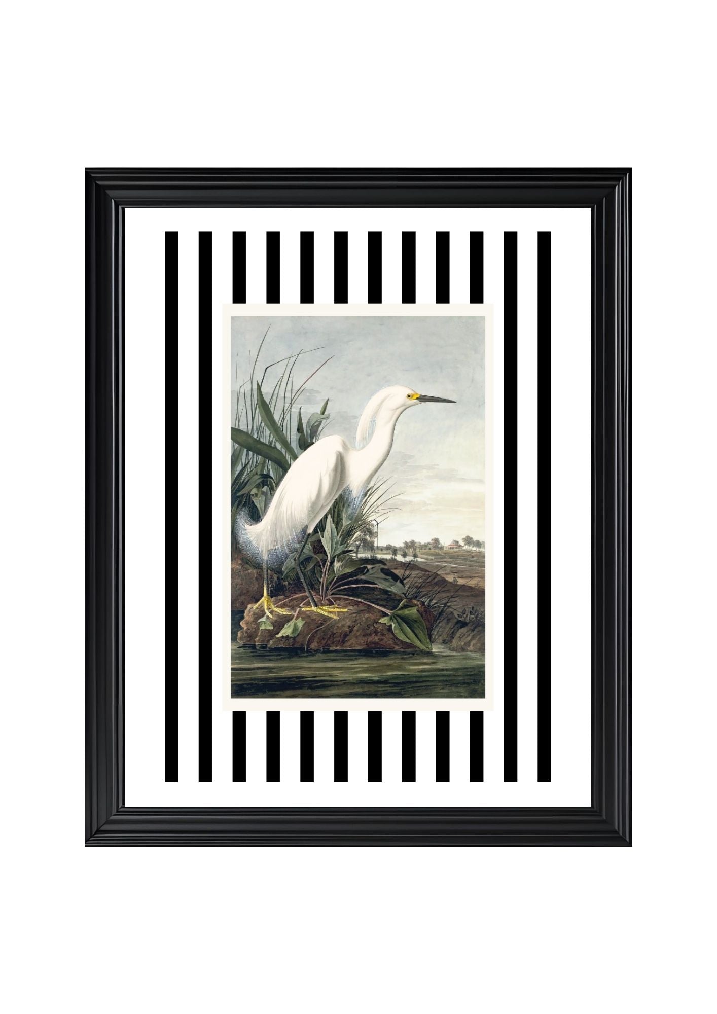 Snowy Egret