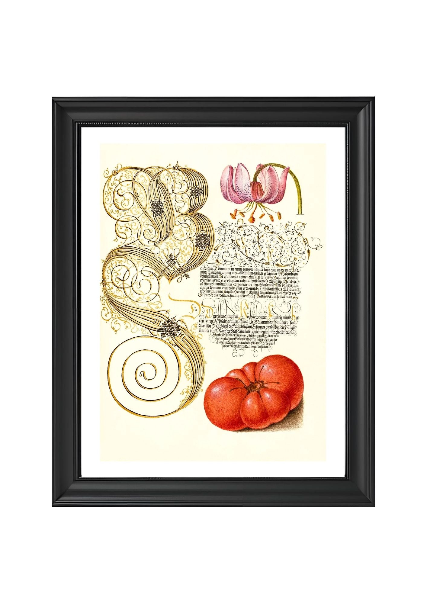 Martagon Lily and Tomato