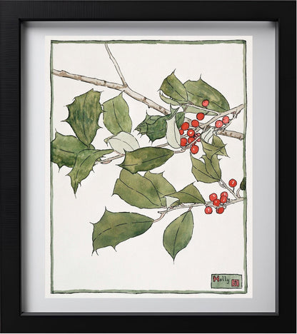 Holly