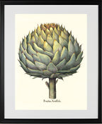 Italian artichoke head