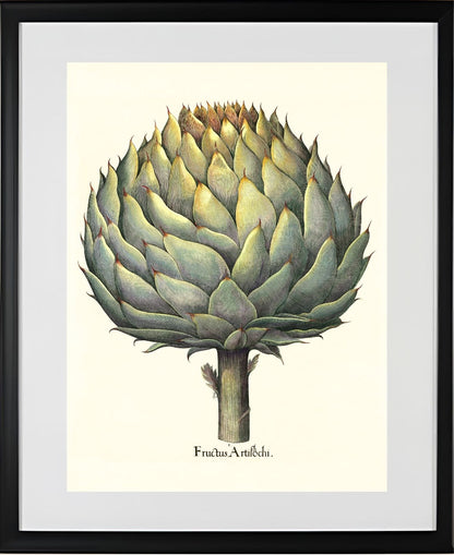 Italian artichoke head