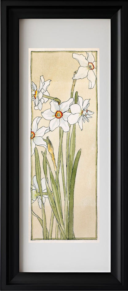 Poets Narcissus