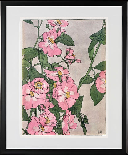 Prairie Rose
