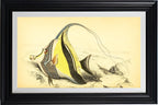 Horned Zanclus or Chaetodon
