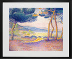 Pines Along the Shore