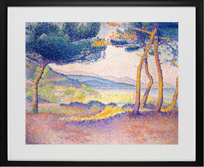 Pines Along the Shore