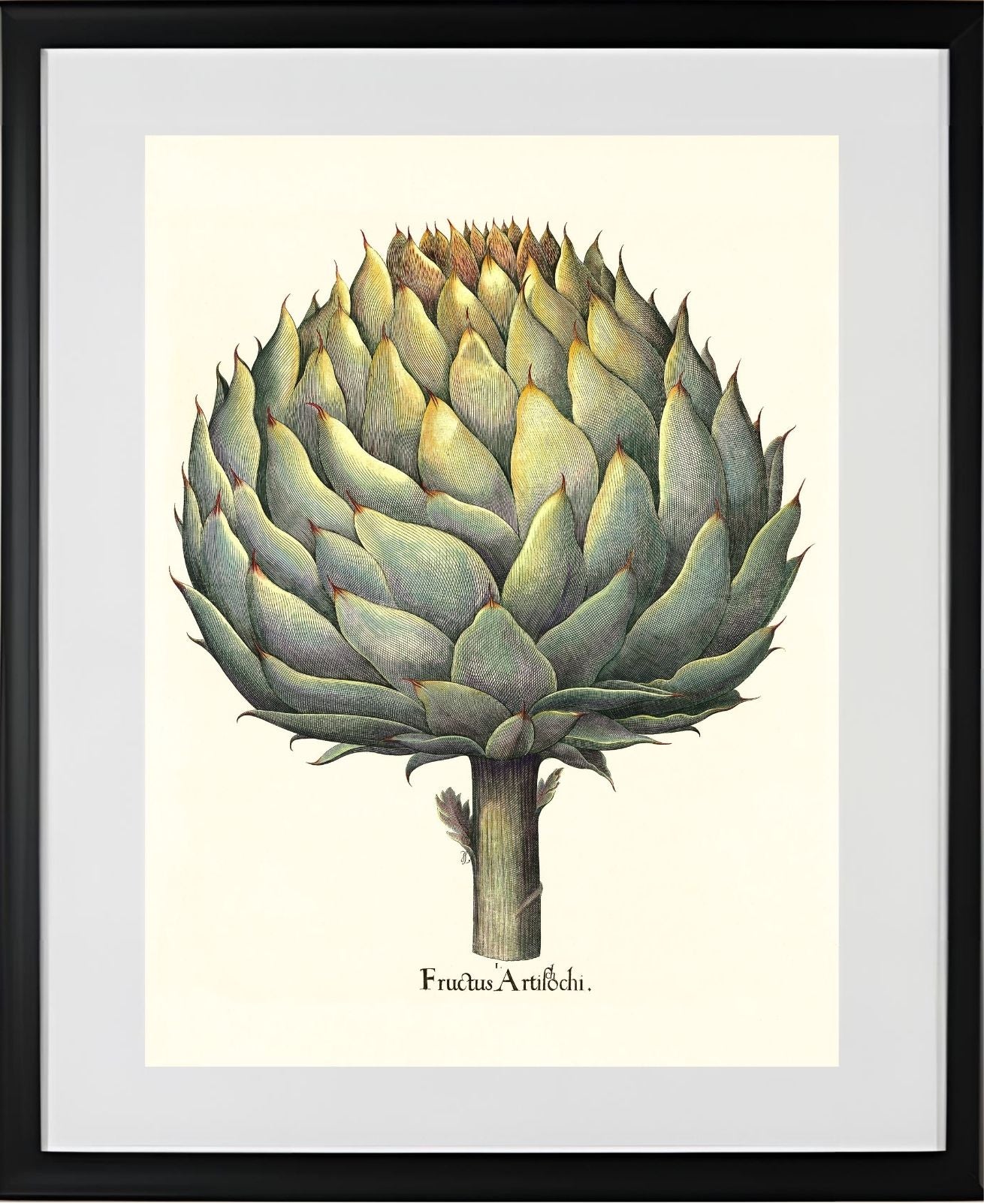 Italian artichoke head