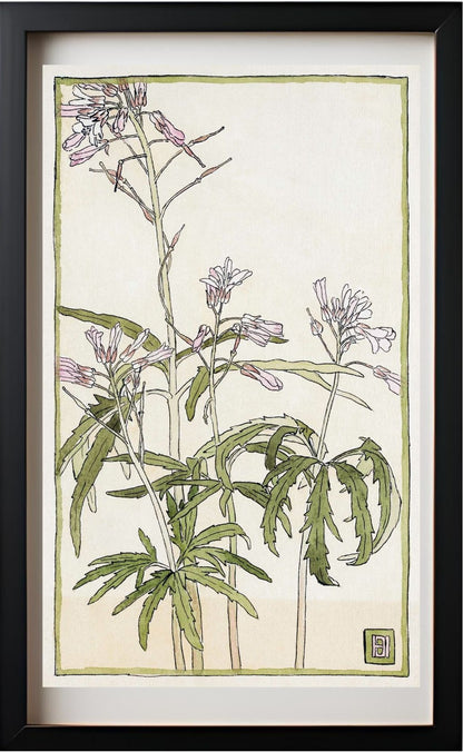 Pink Flowers with Spiky Green Leaves