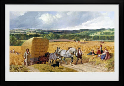 The Harvest