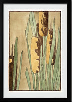 Cattail