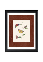 Butterflies 2