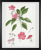 Sultana