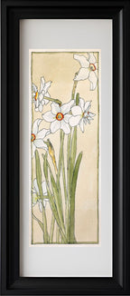 Poets Narcissus