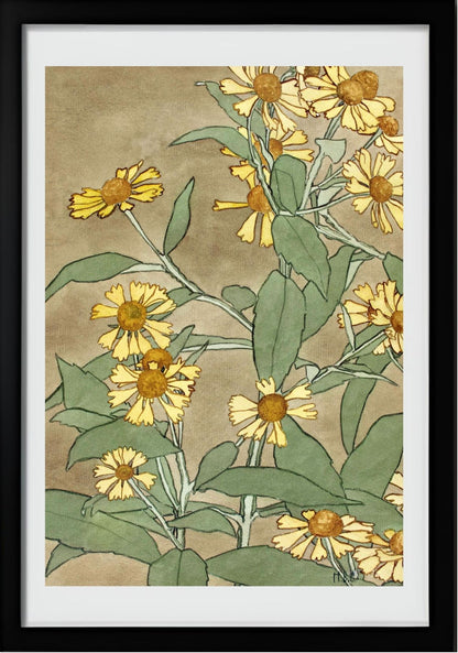 Daisies with Orange Centre and Yellow Petals