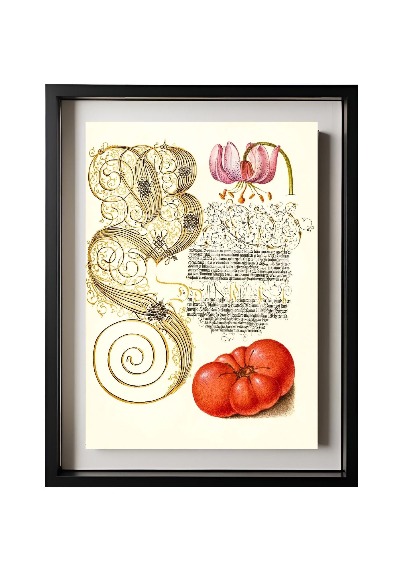 Martagon Lily and Tomato