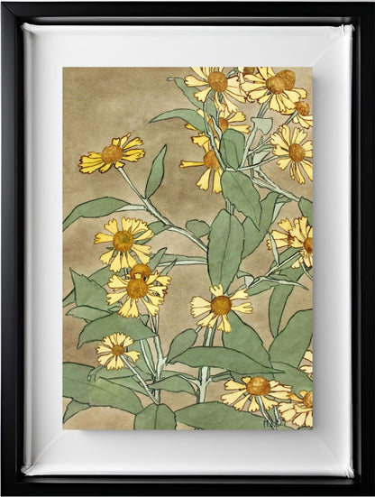 Daisies with Orange Centre and Yellow Petals