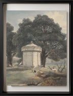 A Garden in India