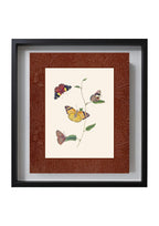 Butterflies 2