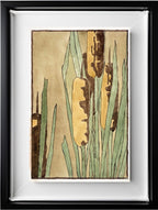 Cattail