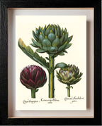Artichoke heads