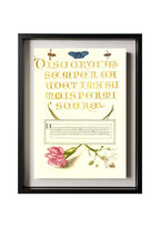 Insects, Carnation, and Judas Tree