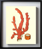 Alcyonium arboreum