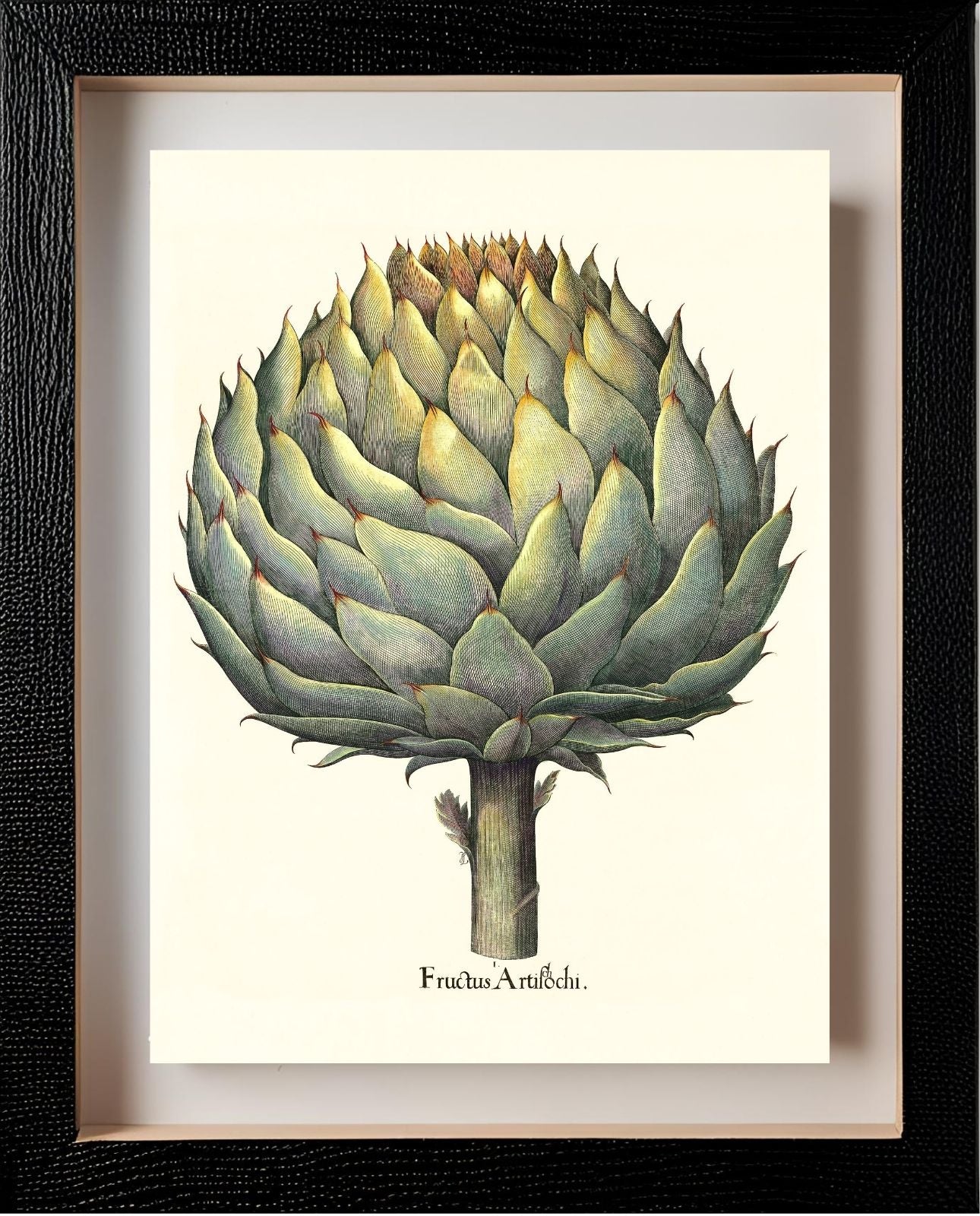Italian artichoke head
