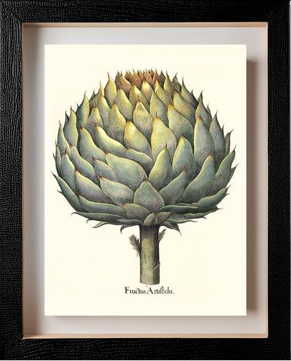 Italian artichoke head