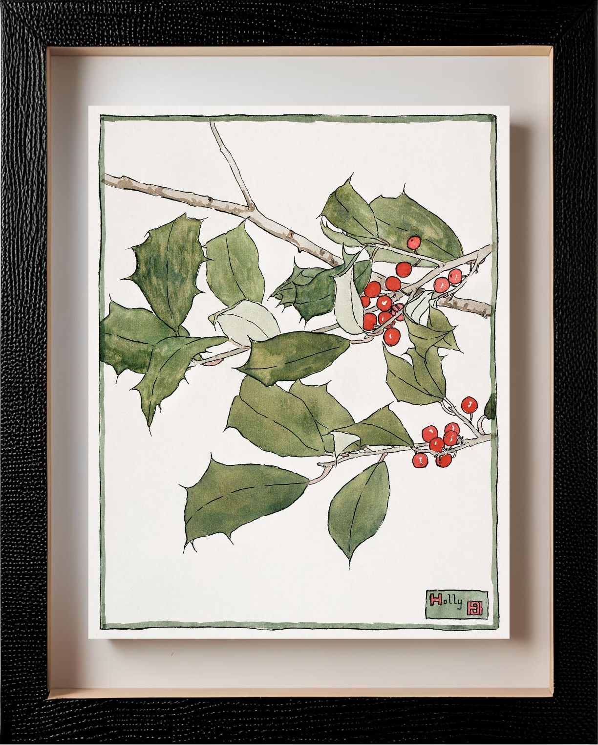 Holly