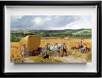 The Harvest