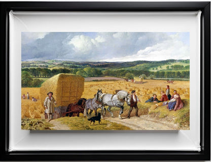 The Harvest